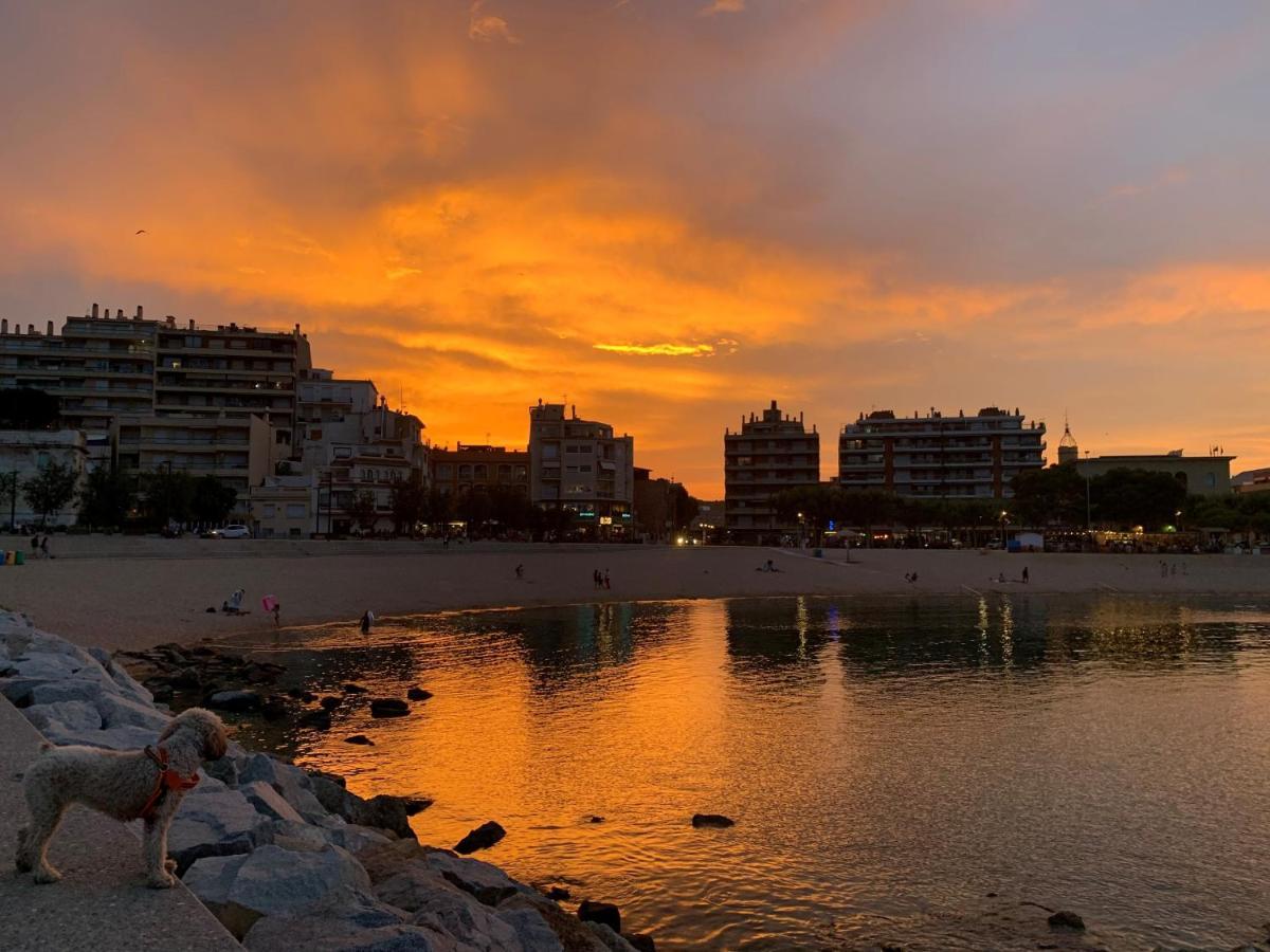 Notaria-Apartamento Y Estudio En Casco Antiguo, Al Lado De Playa, Rambla Y Monasterio, Con Acceso A Terraza Ajardinada Сан Фелиу де Гиксолс Екстериор снимка