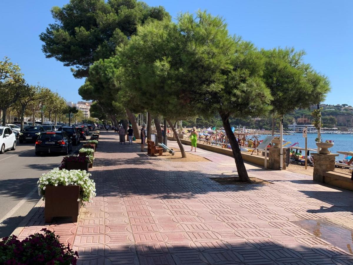 Notaria-Apartamento Y Estudio En Casco Antiguo, Al Lado De Playa, Rambla Y Monasterio, Con Acceso A Terraza Ajardinada Сан Фелиу де Гиксолс Екстериор снимка